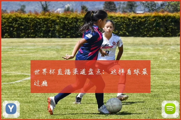 世界杯直播渠道盘点:这样看球最过瘾
