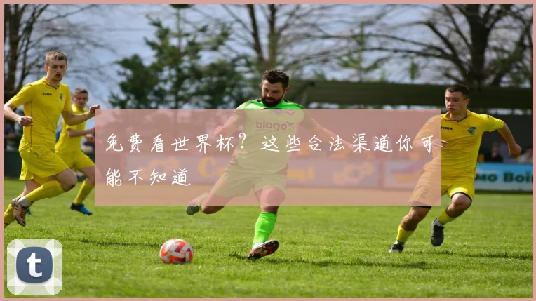 免费看世界杯？这些合法渠道你可能不知道