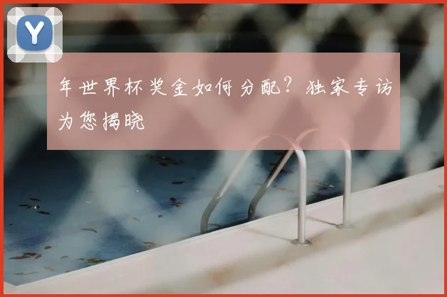 年世界杯奖金如何分配?独家专访为您揭晓