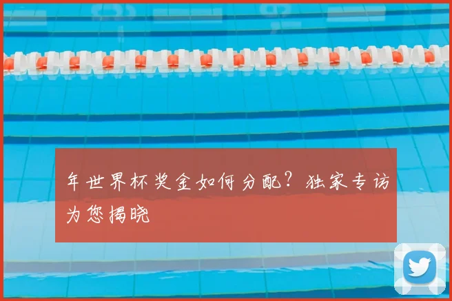 年世界杯奖金如何分配?独家专访为您揭晓