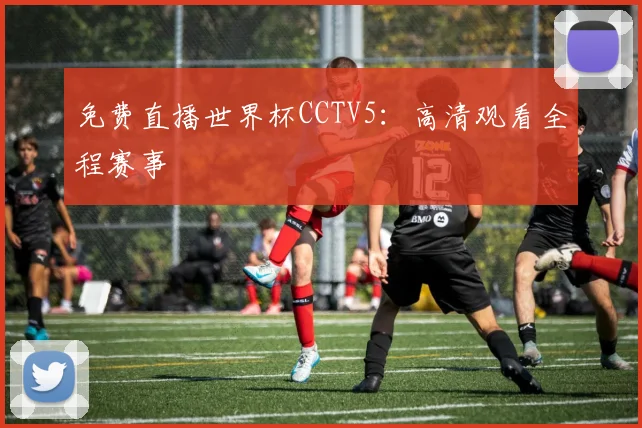 免费直播世界杯CCTV5：高清观看全程赛事