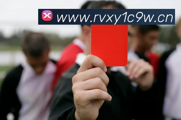 星空网网页版入口发展历程